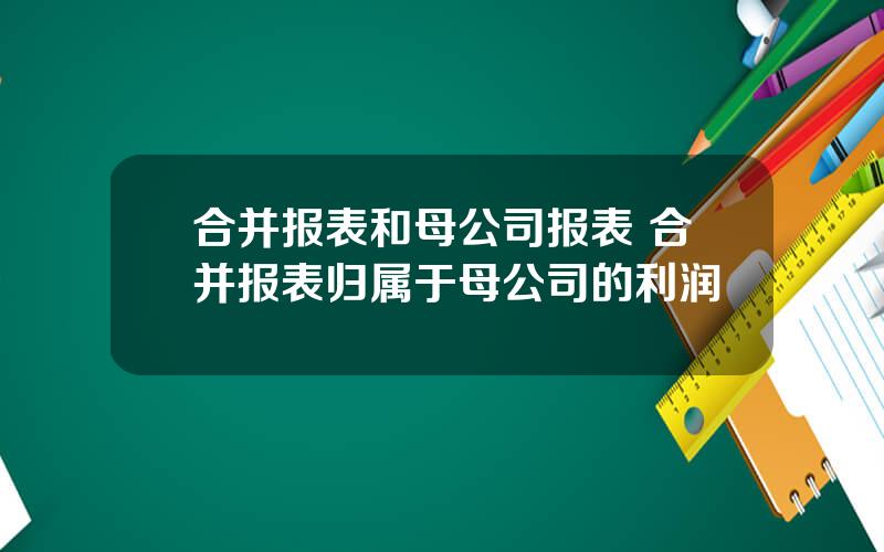 合并报表和母公司报表 合并报表归属于母公司的利润